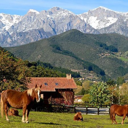 Hotel-Posada La Casa De Frama Kültér fotó