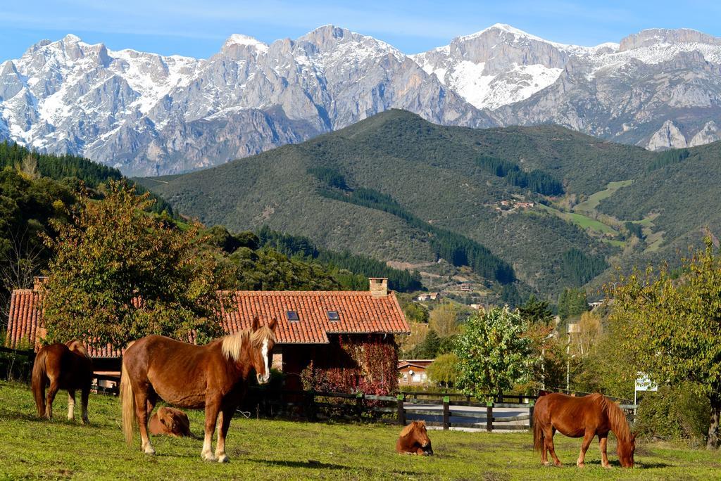 Hotel-Posada La Casa De Frama Kültér fotó